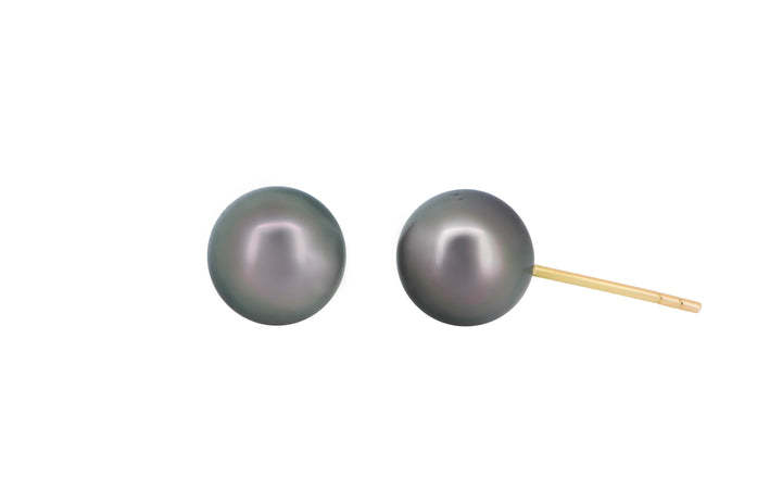 A pair of Tahitian pearl yellow gold stud earrings  is displayed on a white background