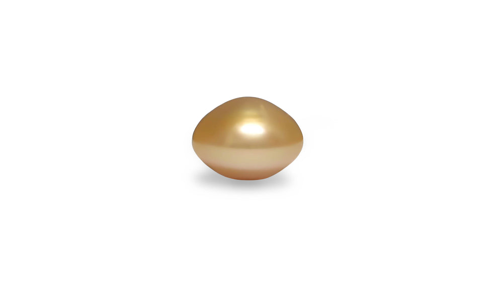 A button shape golden South Sea pearl is displayed on a white background.