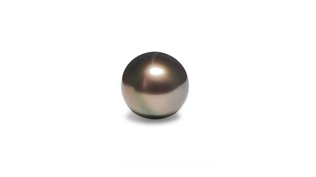 A high button shape aubergine/green Tahitian pearl is displayed on a white background.