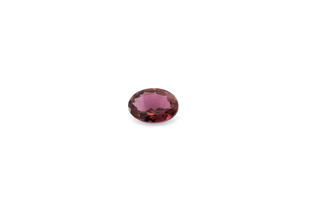 An oval cut pink tourmaline is displayed on a white background.