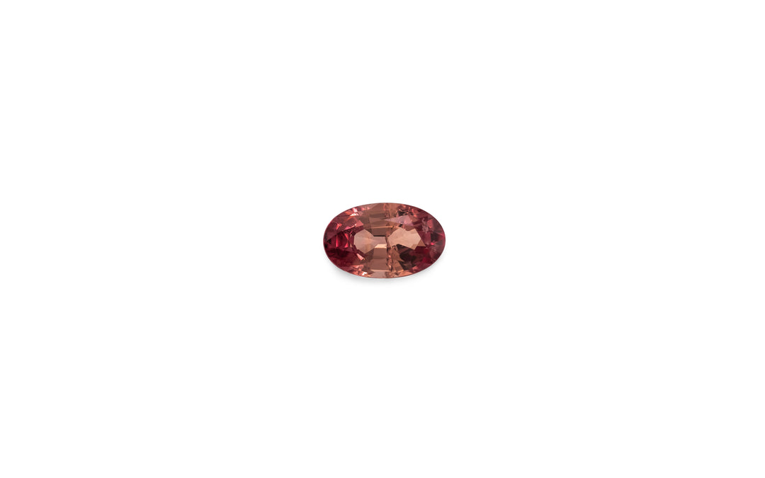 An oval cut, warm pink/orange Ceylon sapphire gemstone is displayed on a white background.