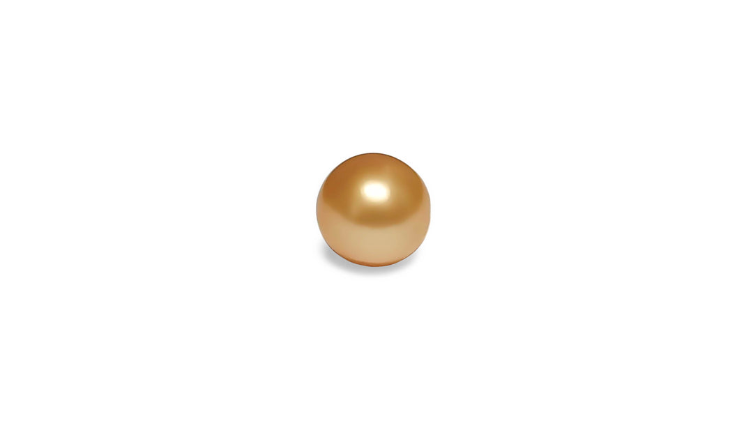 A round shape golden South Sea pearl is displayed on a white background.