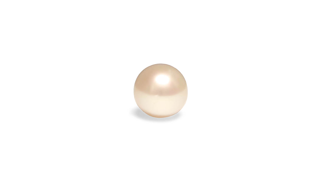 A round shape white South Sea pearl is displayed on a white background.