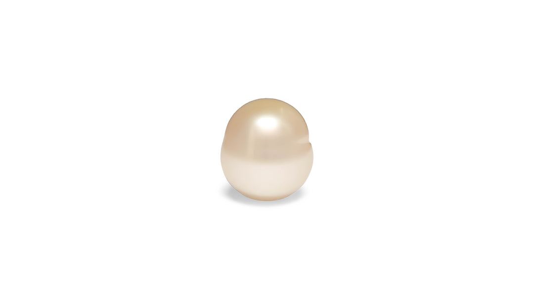 A semi baroque shape white cream South Sea pearl is displayed on a white background.
