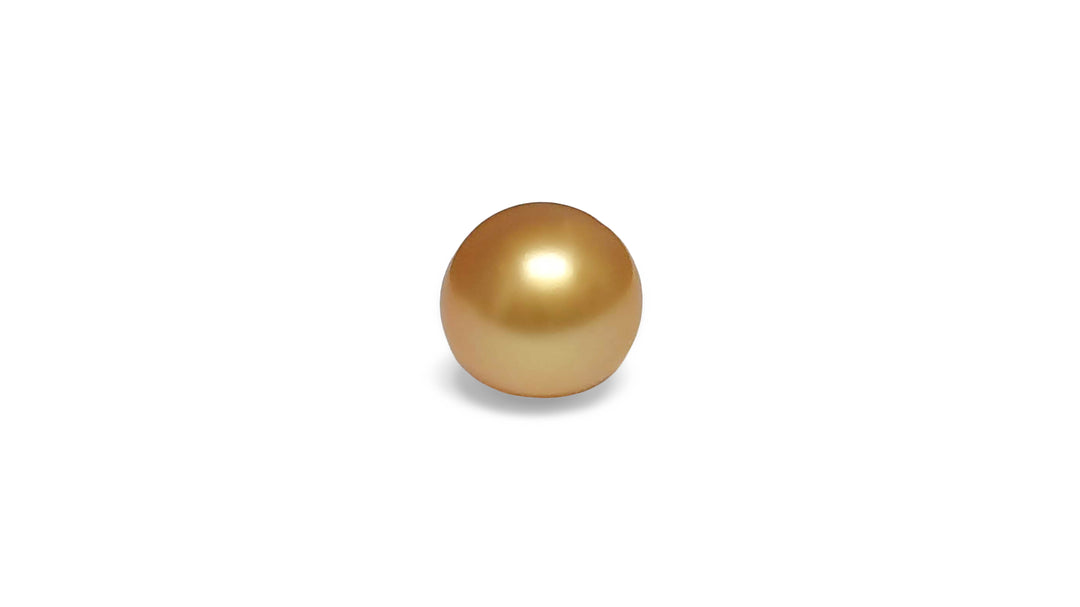A semi round shape golden South Sea pearl is displayed on a white background.