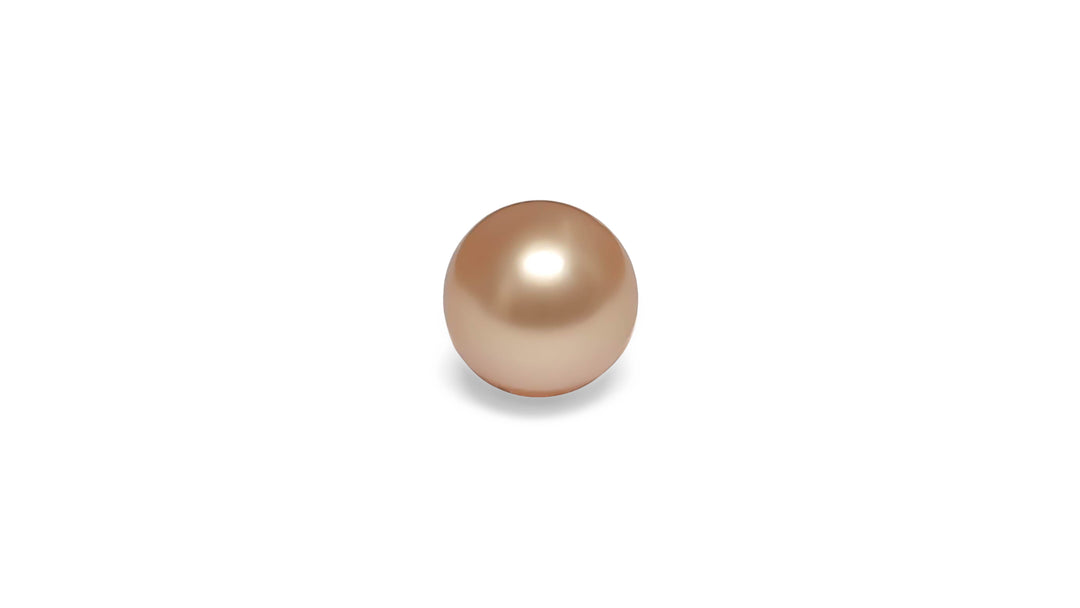 A semi round shape pink golden South Sea pearl is displayed on a white background.