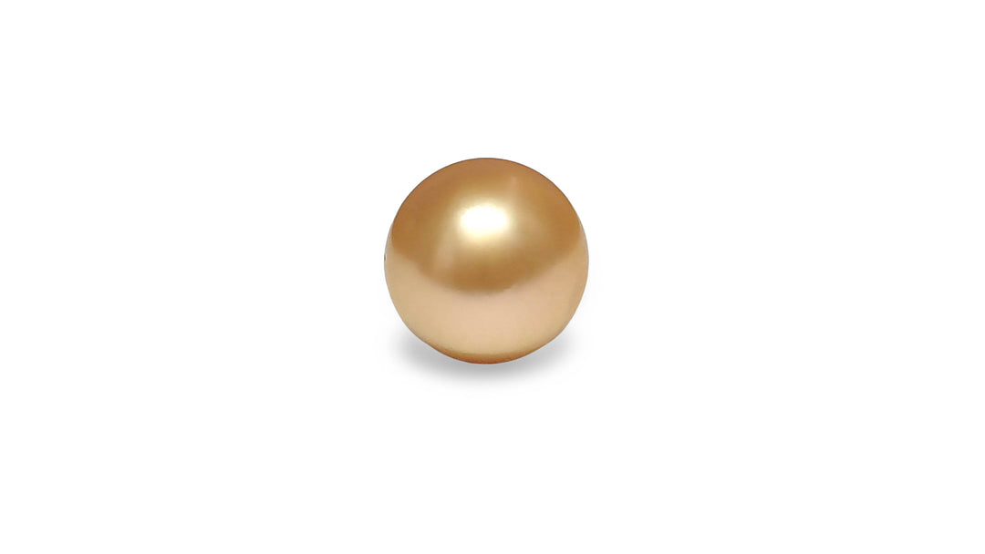 A semi round golden South Sea pearl is displayed on a white background.