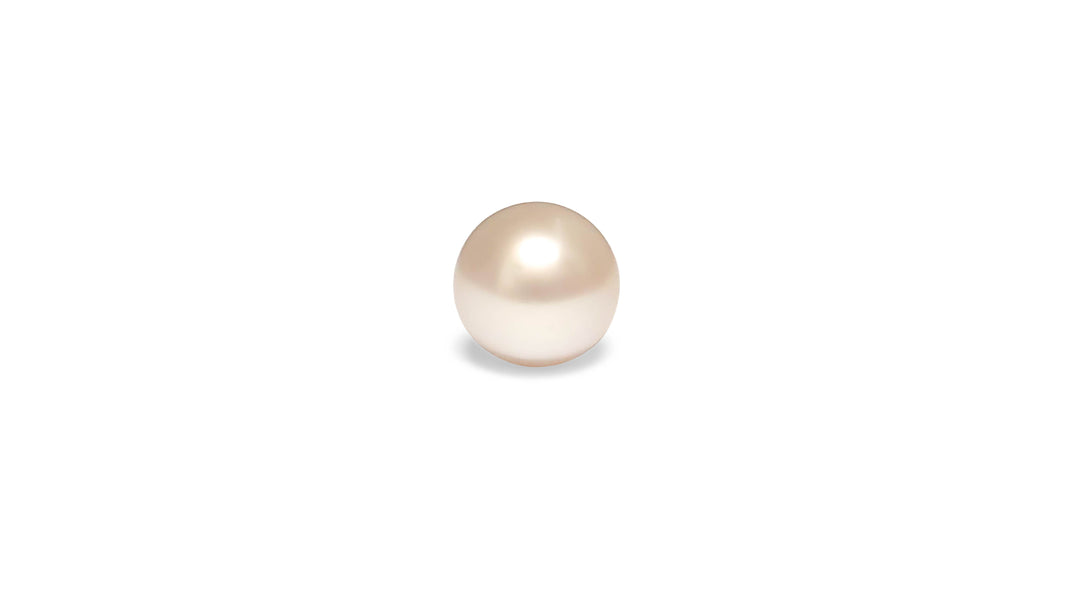 A semi round shape white South Sea pearl is displayed on a white background.