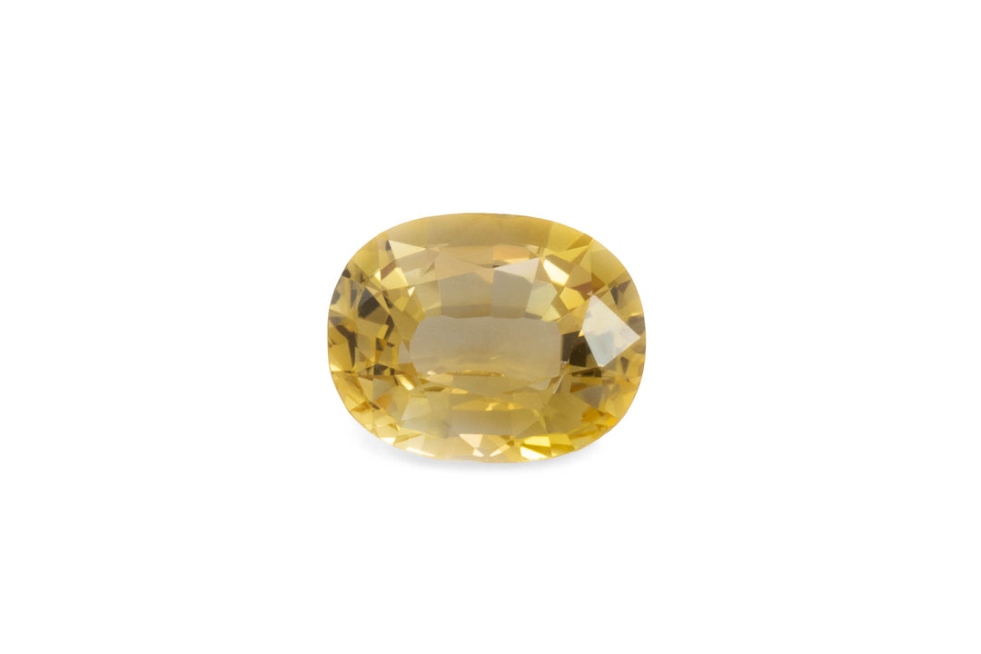 Oval cut golden yellow Ceylon sapphire gemstone on a white background.